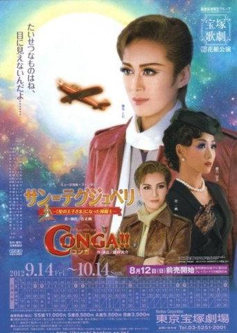 Saint-Exupéry -The Pilot Who Became "The Little Prince"- (2012) poster