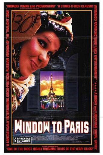Window to Paris (1993) poster
