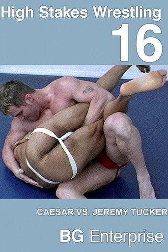 High Stakes Wrestling 16 (2002) poster