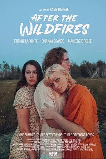 After the Wildfires () poster