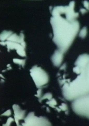 Maïm (1972) poster