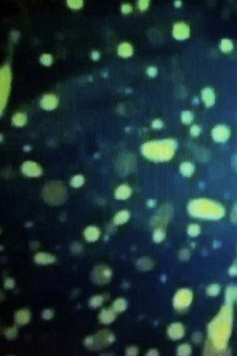 THE DREAM OF FISH (1995) poster