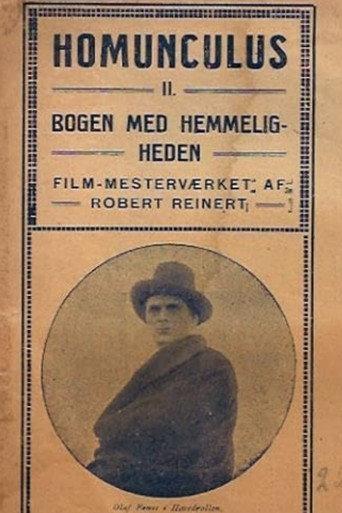 The Mysterious Book (1916) poster
