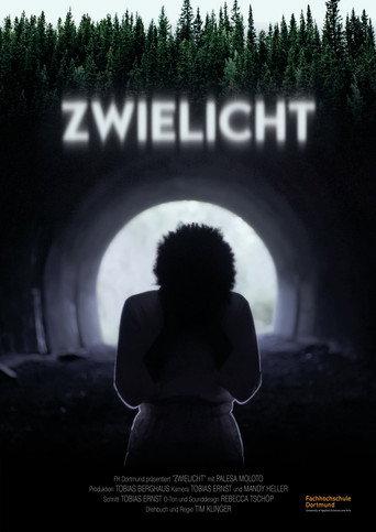 Zwielicht () poster