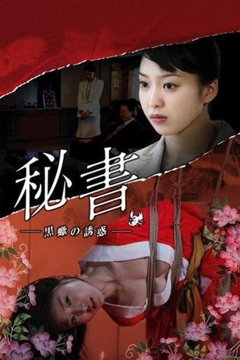 Passions of a Private Secretary (2008) poster