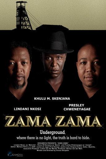 Zama Zama (2012) poster