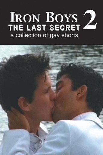 Iron Boys 2:  The Last Secret (2008) poster