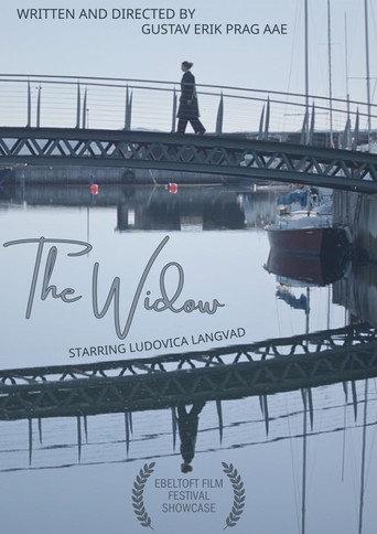 The Widow (2025) poster