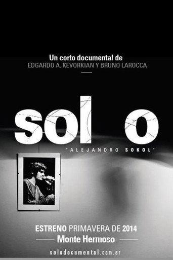 Solo (2014) poster