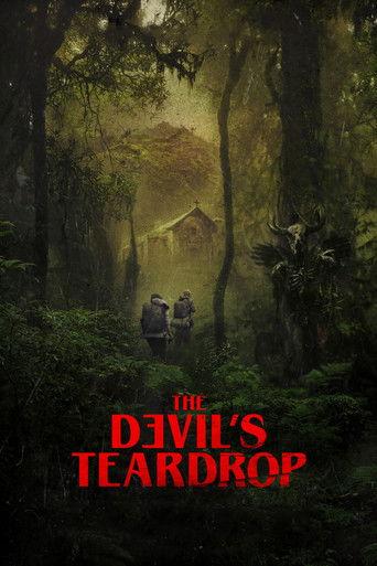 The Devil's Teardrop (2025) poster