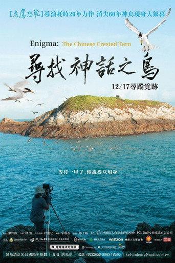 Enigma: The Chinese Crested Tern (2021) poster