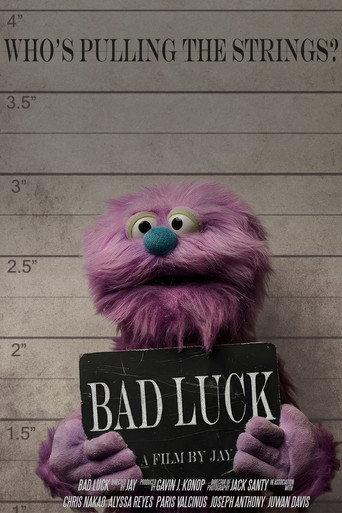Bad Luck (2025) poster