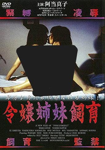 Young Lady Sisters (2004) poster