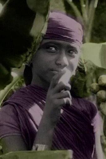 The Wonderful Fruit of the Tropics (1914) poster