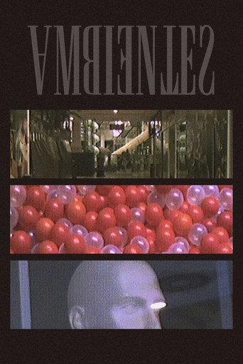 AMBIENTES (2026) poster