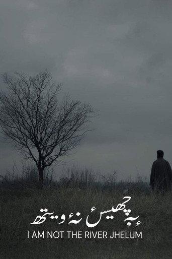 I'm Not The River Jhelum (2021) poster
