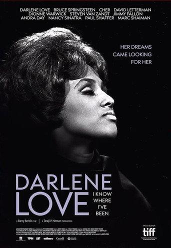 Darlene Love: I Know Where I've Been (2026) poster