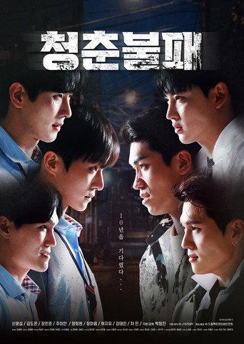 청춘불패 (2024) poster