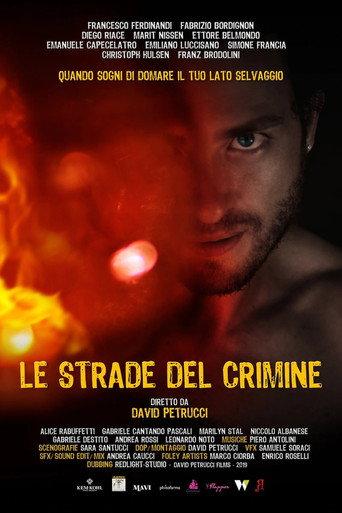 Le strade del crimine (2020) poster
