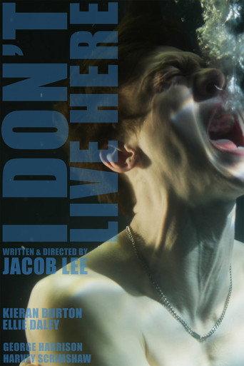 I Don't Live Here () poster