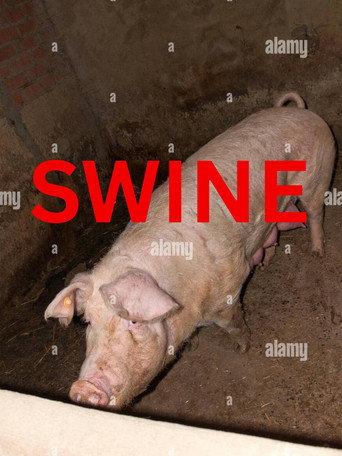 Swine () poster