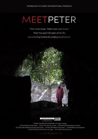 Meet Peter (2016) poster