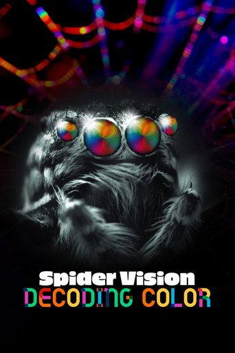 Spider Vision: Decoding Color (2024) poster