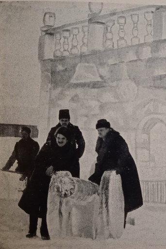 The Ice House (1916) poster