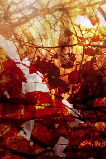 Recomposition (2007) poster