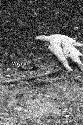 Voyeur (2022) poster
