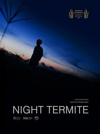 MỐI ĐÊM () poster