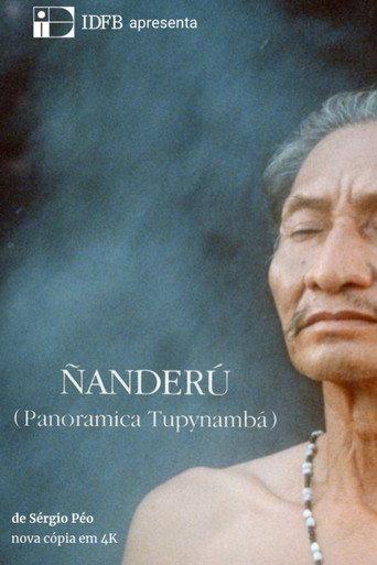 Ñanderú - Panorâmica Tupinambá (1991) poster