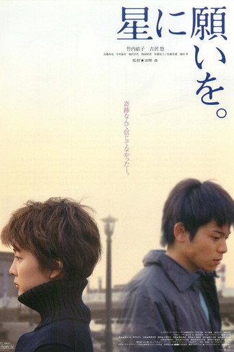 Night of the Shooting Stars (2003) poster