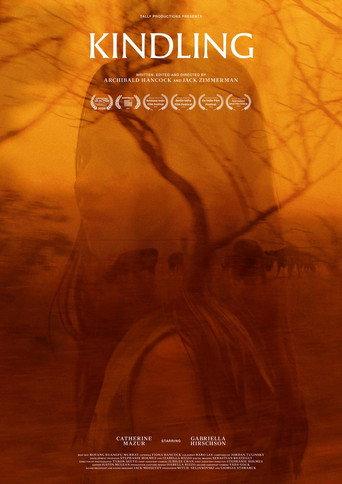 Kindling () poster