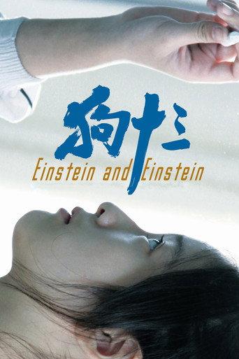 Einstein and Einstein (2018) poster