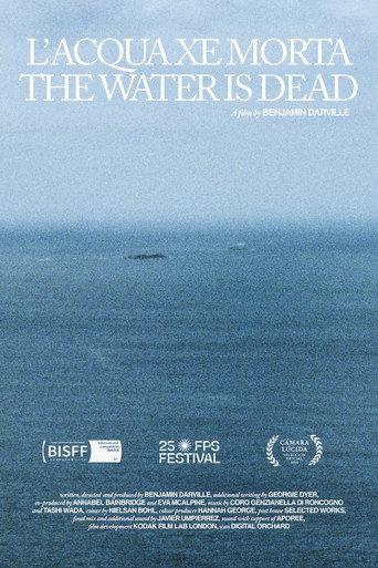 L' Acqua Xe Morta / The Water Is Dead (2025) poster
