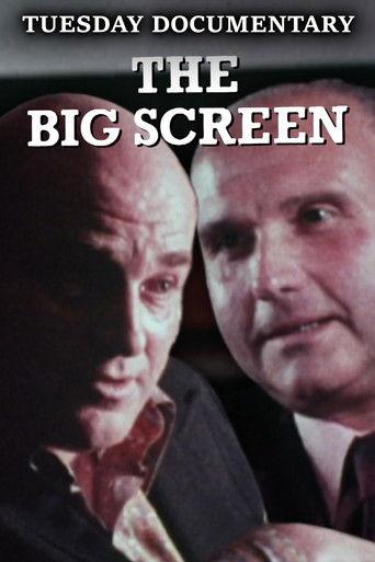 The Big Screen (1973) poster