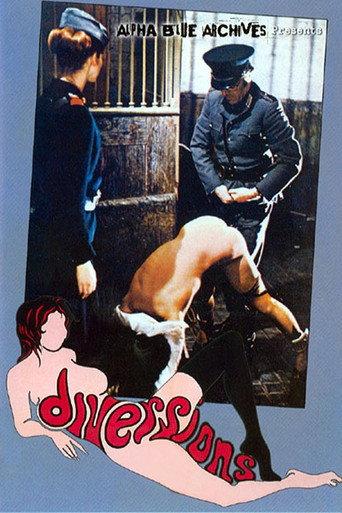Diversions (1976) poster