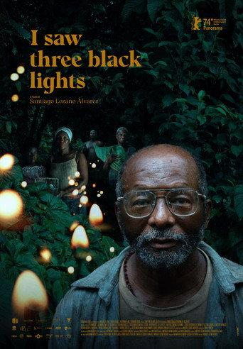 I Saw Three Black Lights (2025) poster