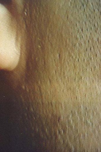 Eating (1997) poster