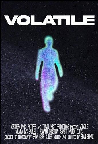 VOLATILE () poster