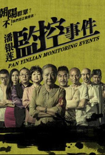 潘银莲监控事件 (2016) poster