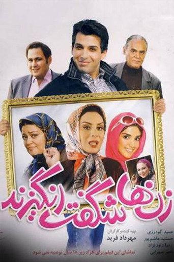 Women are Marvelous (2010) poster