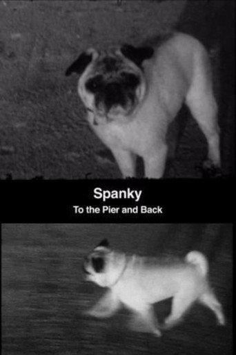 Spanky: To the Pier and Back (2008) poster