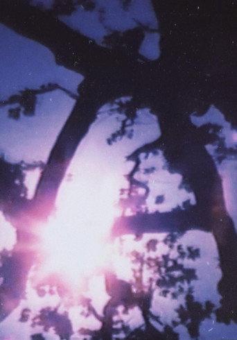 Light Point (1996) poster