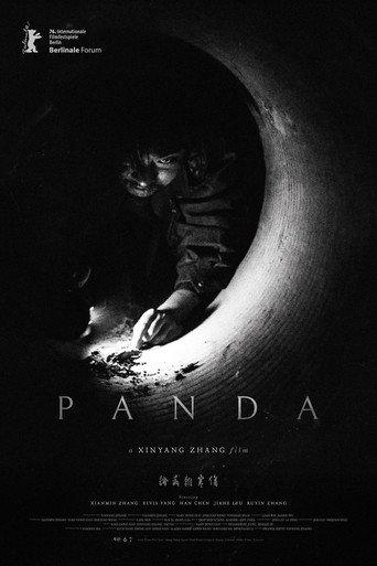 Panda (2026) poster