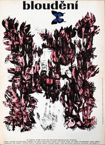 Searching (1966) poster