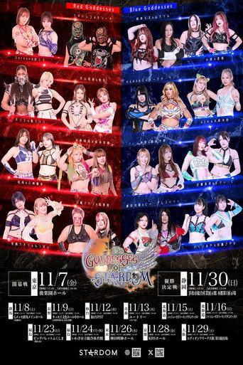 Stardom 15th Goddesses of Stardom Tag League ~Finals~ in Hamamatsu (2025) poster