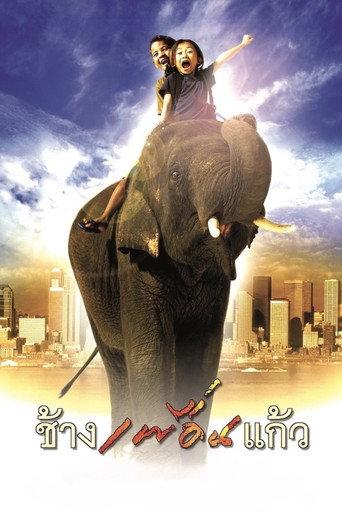 The Elephant Boy (2003) poster