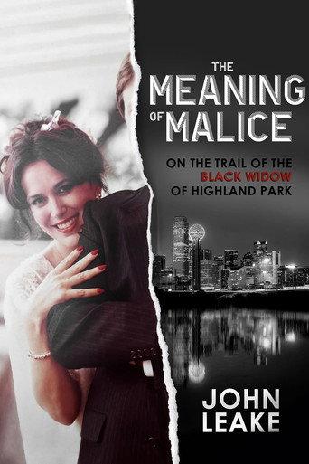 The Meaning of Malice () poster